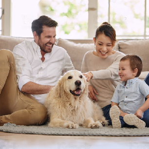 Pets Vertical_306x306
